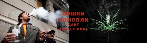 амф Пестово