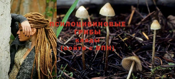 марки nbome Пересвет
