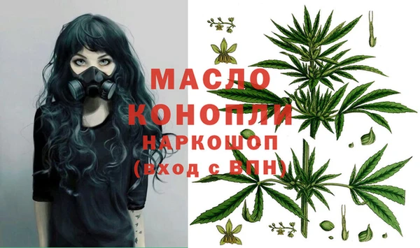 амф Пестово