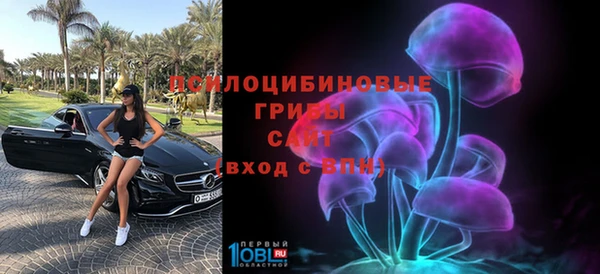 марки nbome Пересвет