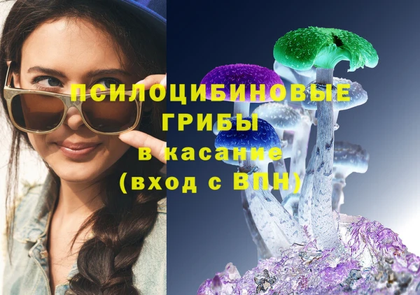 амф Пестово