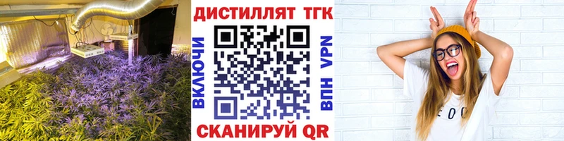 Купить закладки  Щучье  ТГК вейп с тгк 