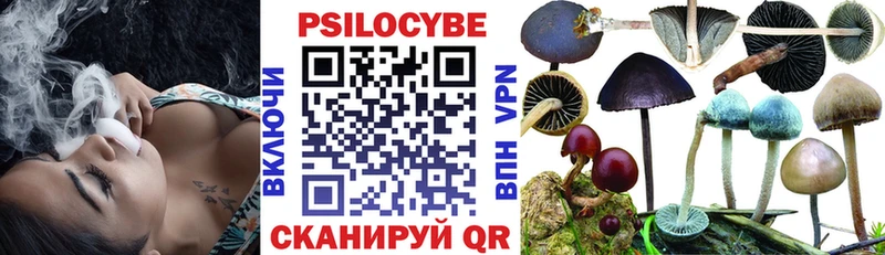 Псилоцибиновые грибы GOLDEN TEACHER  Купить где  Щучье 